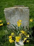 image of grave number 61700